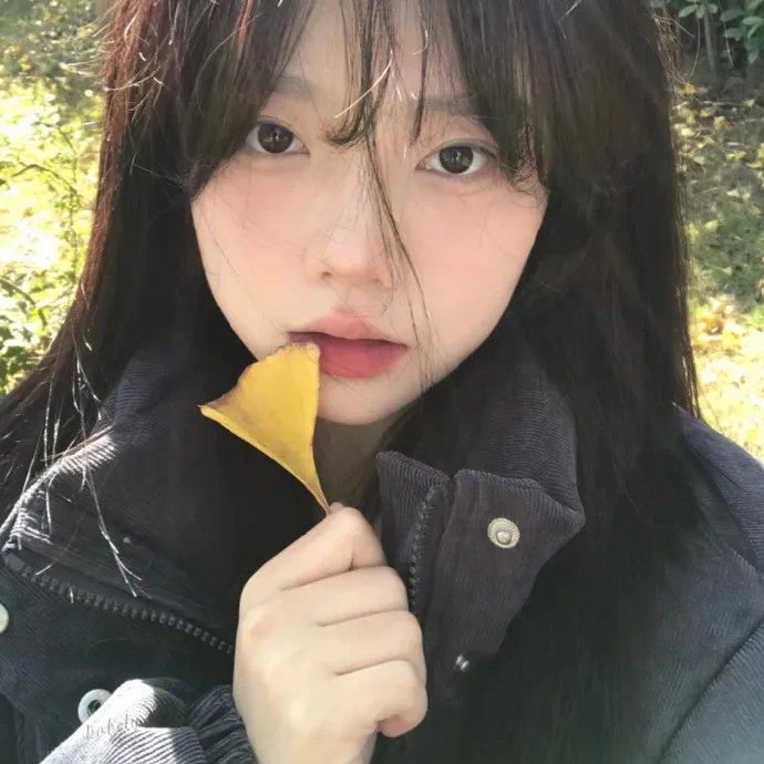 我的青春都是你